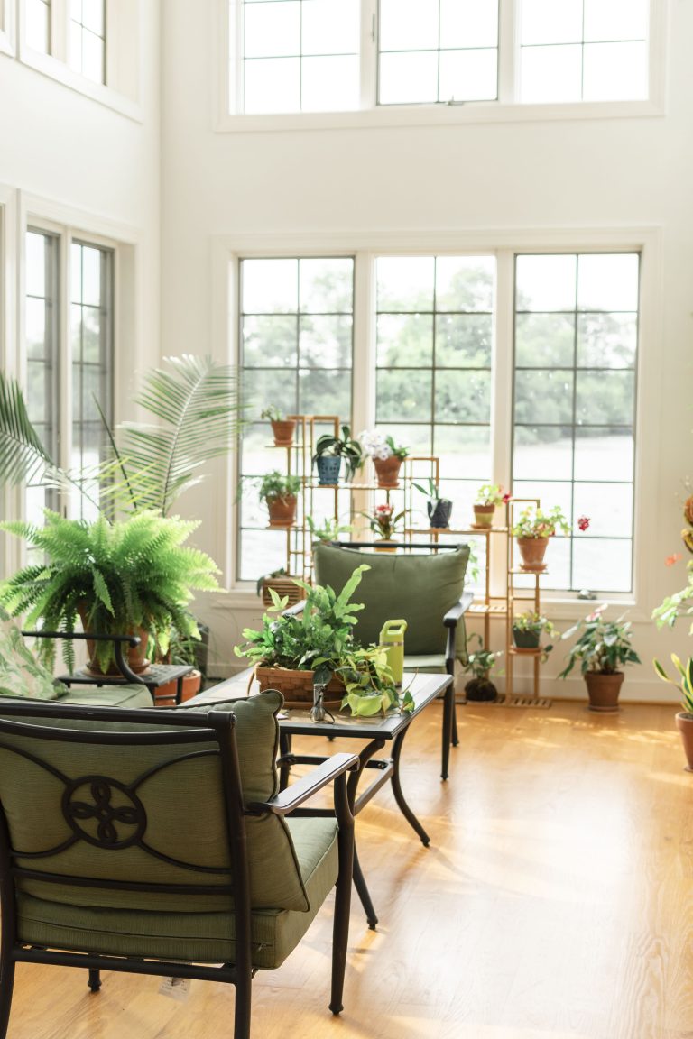 sunroom filled with plant
